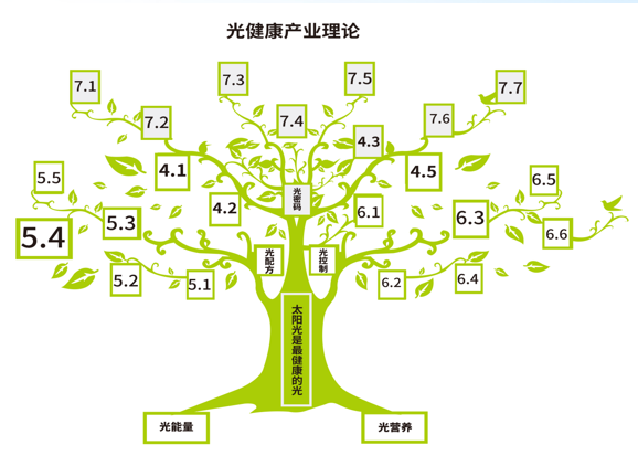 会员推荐 丨凯西欧：改良生活空间质量(图6)