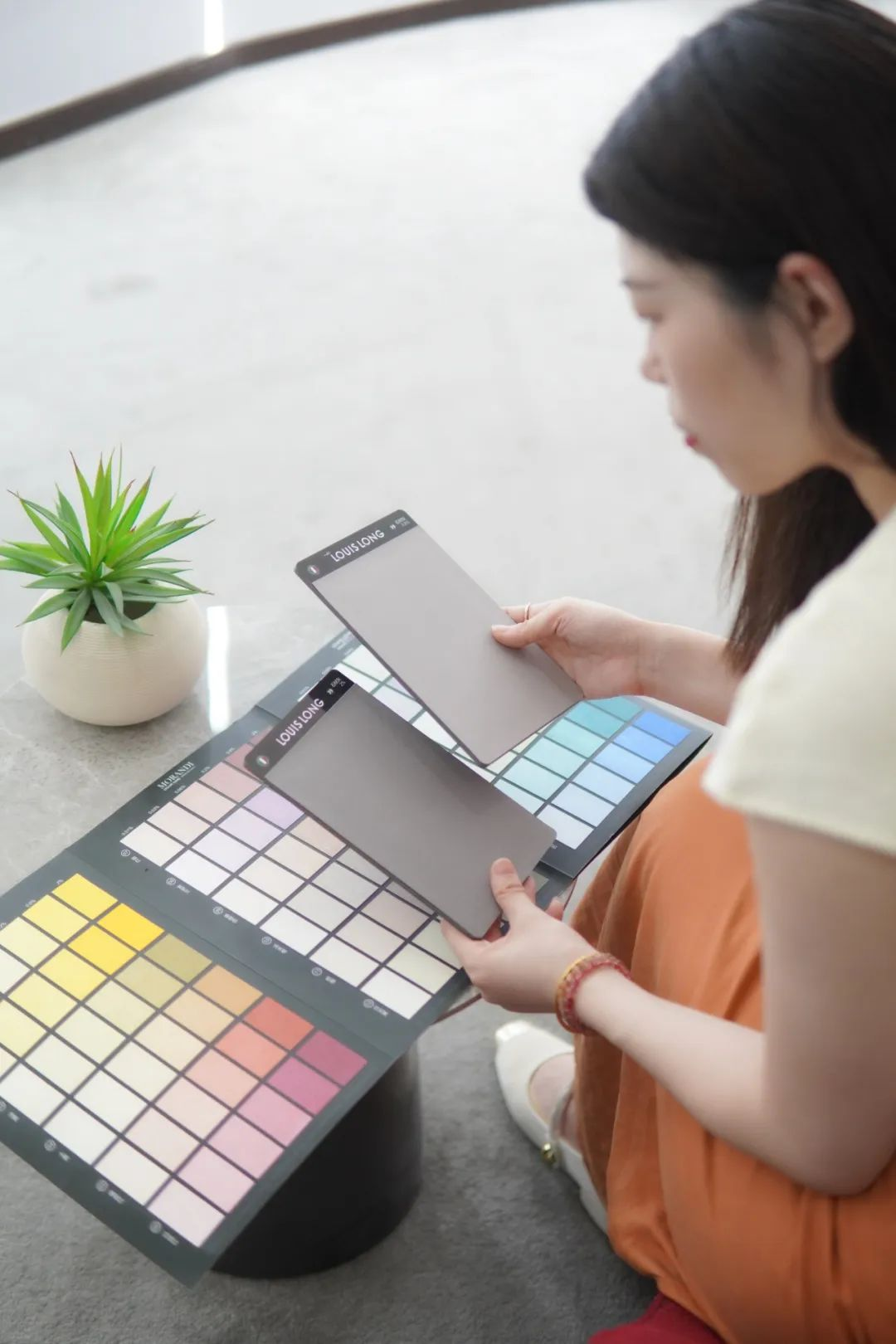 会员推荐 | LOUIS LONG ：路易诗兰色彩体系的传承与行业革新的背后......