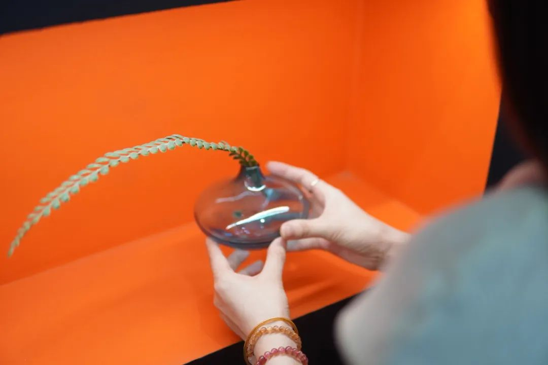 会员推荐 | LOUIS LONG :路易诗兰色彩体系的传承与行业革新的背后......(图9) 会员推荐 | LOUIS LONG :路易诗兰色彩体系的传承与行业革新的背后......(图9)