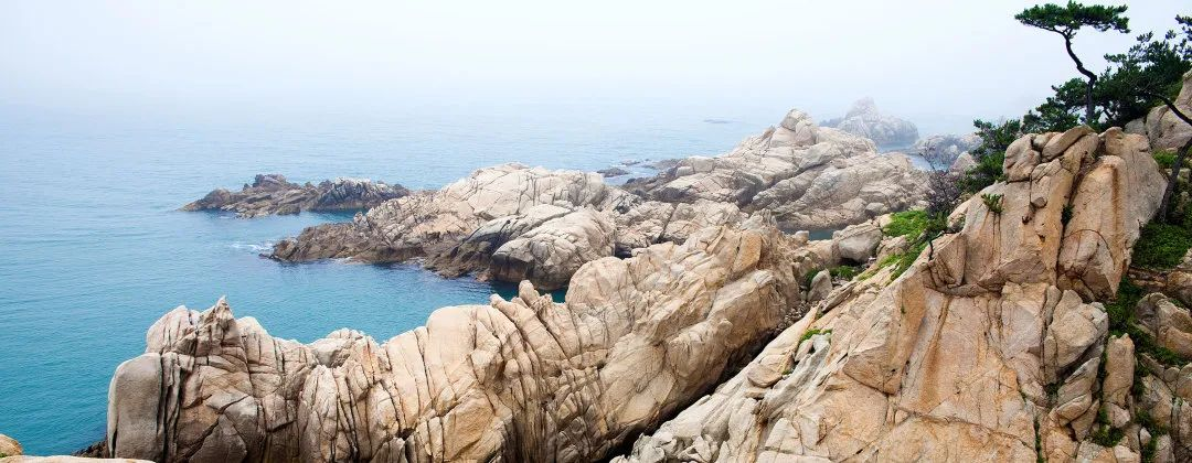 会员推荐 丨圣堡龙陶瓷：新品 | 1200*1200mm美拉德，高阶暖调生活(图4)